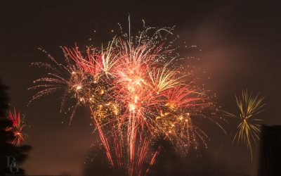 Neues Kunstjahr – spannender Ausblick